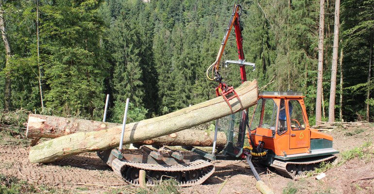 Swiss Tracked Forwarder (STF) develops small tracked forwarders for steep terrain. The company will launch a new prototype at Elmia Wood (photo courtesy STF).