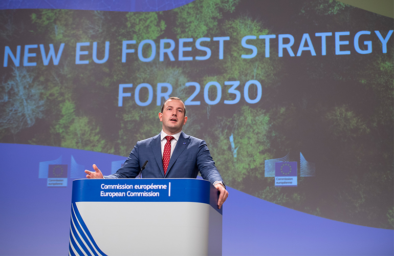Commission's EU Forest Strategy for 2030 to protect and restore Europe's  forests | Bioenergy International