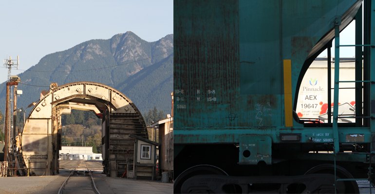 Wood chips and pellets arrive by railcar and Fibreco’s ten track railway marshalling yard can hold up to 114 railcars at any one time. The wood chip railcar “rollover” unloader (left).