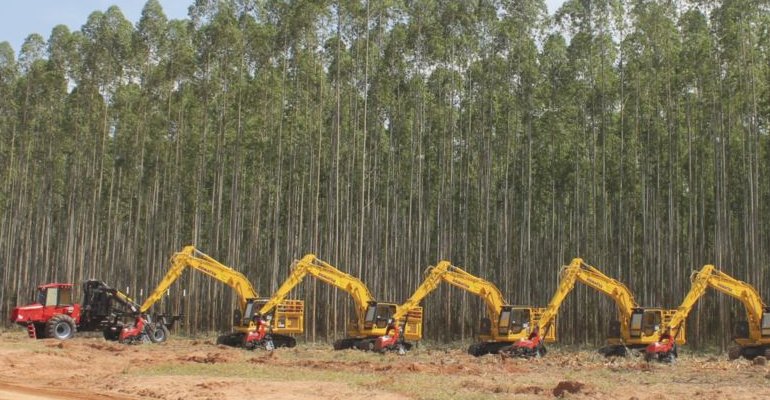 Komatsu Forest Brazil has revealed a record order to supply a eucalyptus harvesting and forwarding fleet to Fibria (photo courtesy Komatsu Forest).