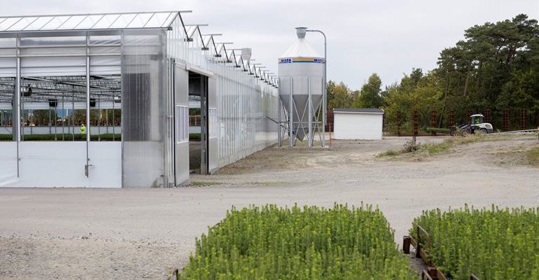 Closing the loop – Södra invests in fossil-free forest seedling production at its Falkenberg nursery, which will be heated using wood pellets produced at its Värö sawmill using sawmill residues (photo courtesy Södra).