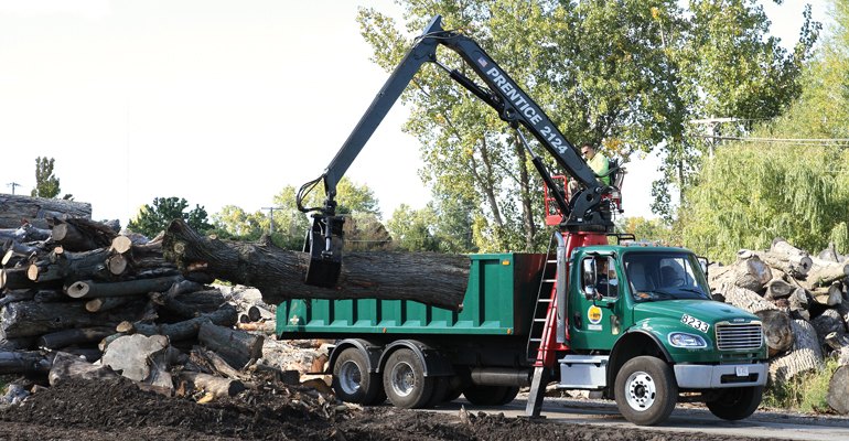 Logs arrive into the yard from tree-care, landscape, site-preparation, EAB and storm cleanup from around Toledo, some of which are enormous
