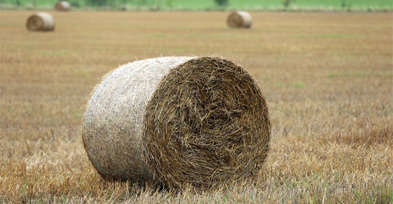 A round bale of cereal straw