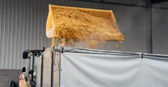 Dried distiller's grains, an important animal feed co-product of corn (maize) ethanol production.