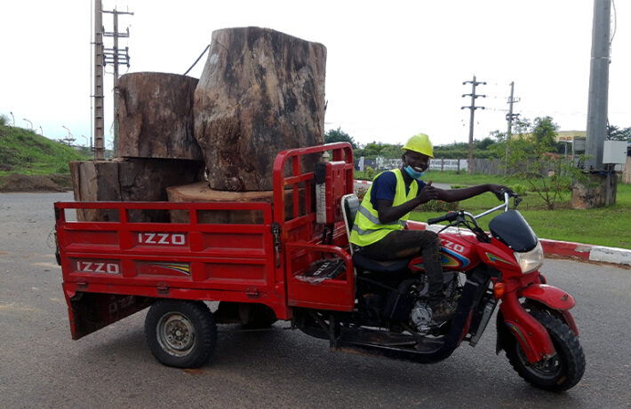 Large log offcuts on a moped
