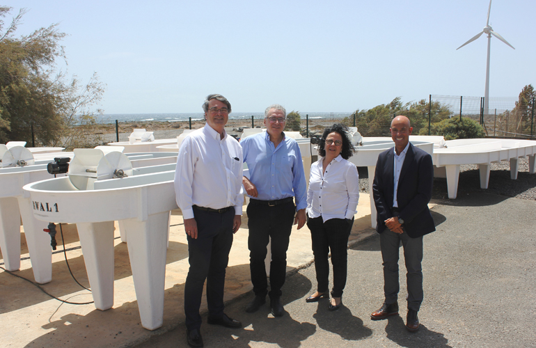 Cepsa and ITC partner on algae biofuels