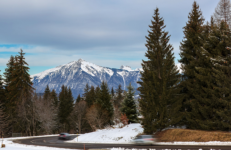 International Day of Forests 2024 focuses on monitoring innovation