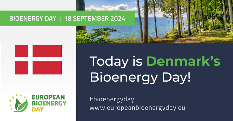 Denmark – an energy transition pioneer