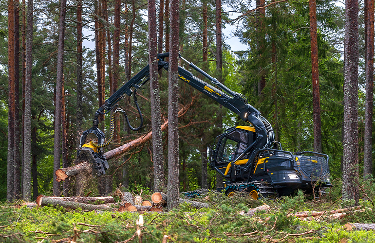 PMs call for revision of Nordic LULUCF targets