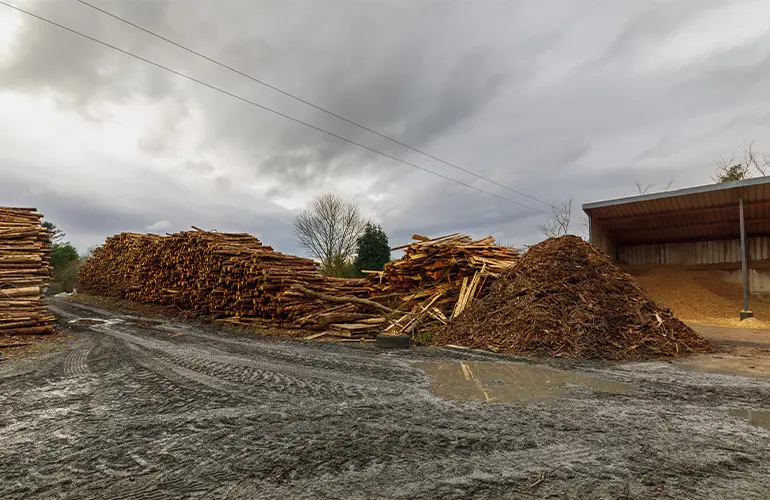 IrBEA urges Government to unlock Ireland’s bioenergy potential in Budget 2026