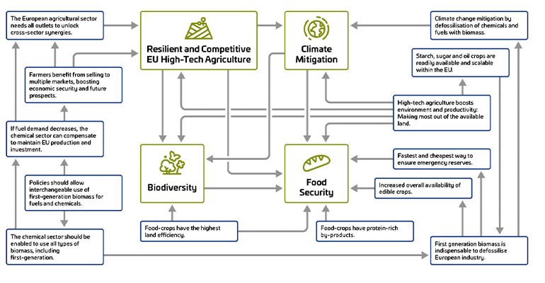 Study confirms benefits of 1G biomass for food, fuels, and chemicals in Europe