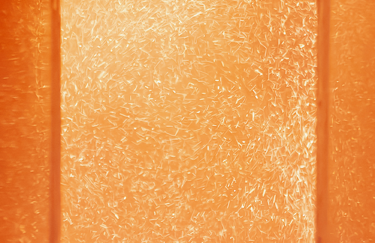 WBA launches 2025 Global Bioenergy Statistics Report