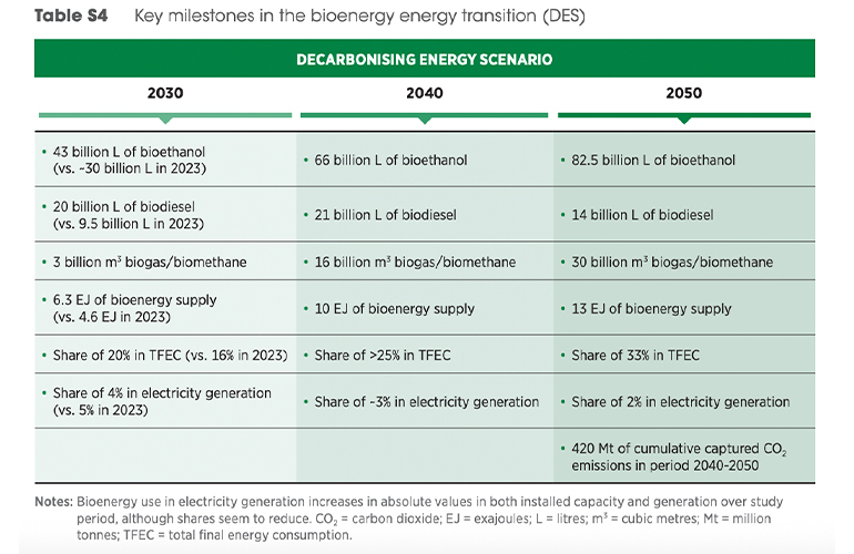 South America’s energy transition poised to benefit business and society – IRENA