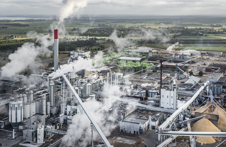 Södra develops blue S – a new pulp combining softwood fibre with oat hull fibre