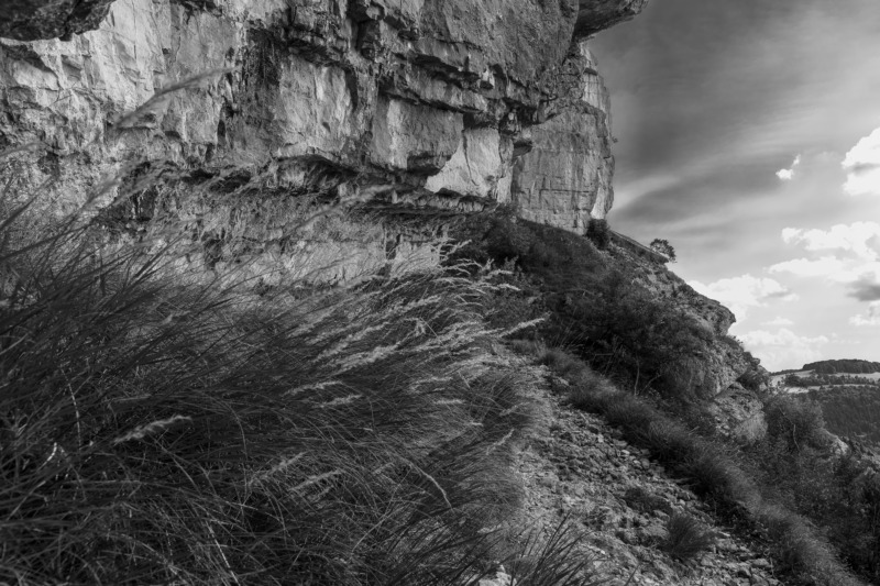 Frontier approves Puro.earth’s Enhanced Rock Weathering methodology